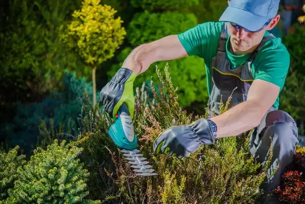 landscaping services Solon